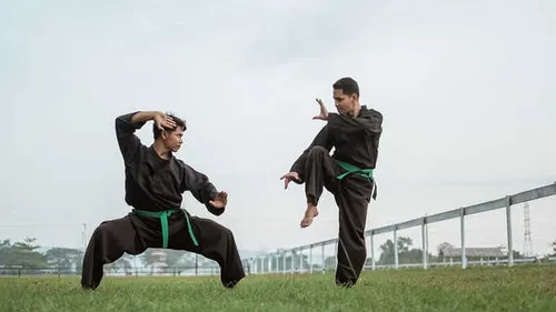 Pencak Silat
